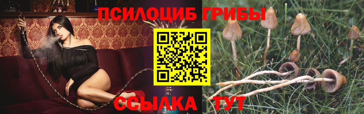 Псилоцибиновые грибы мухоморы Россия