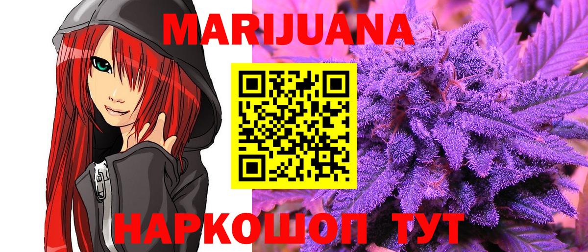Каннабис OG Kush Россия